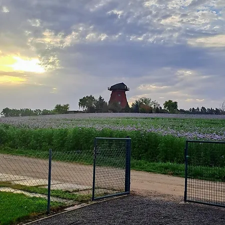 Fewo Mit Garten Nahe Kummerower *